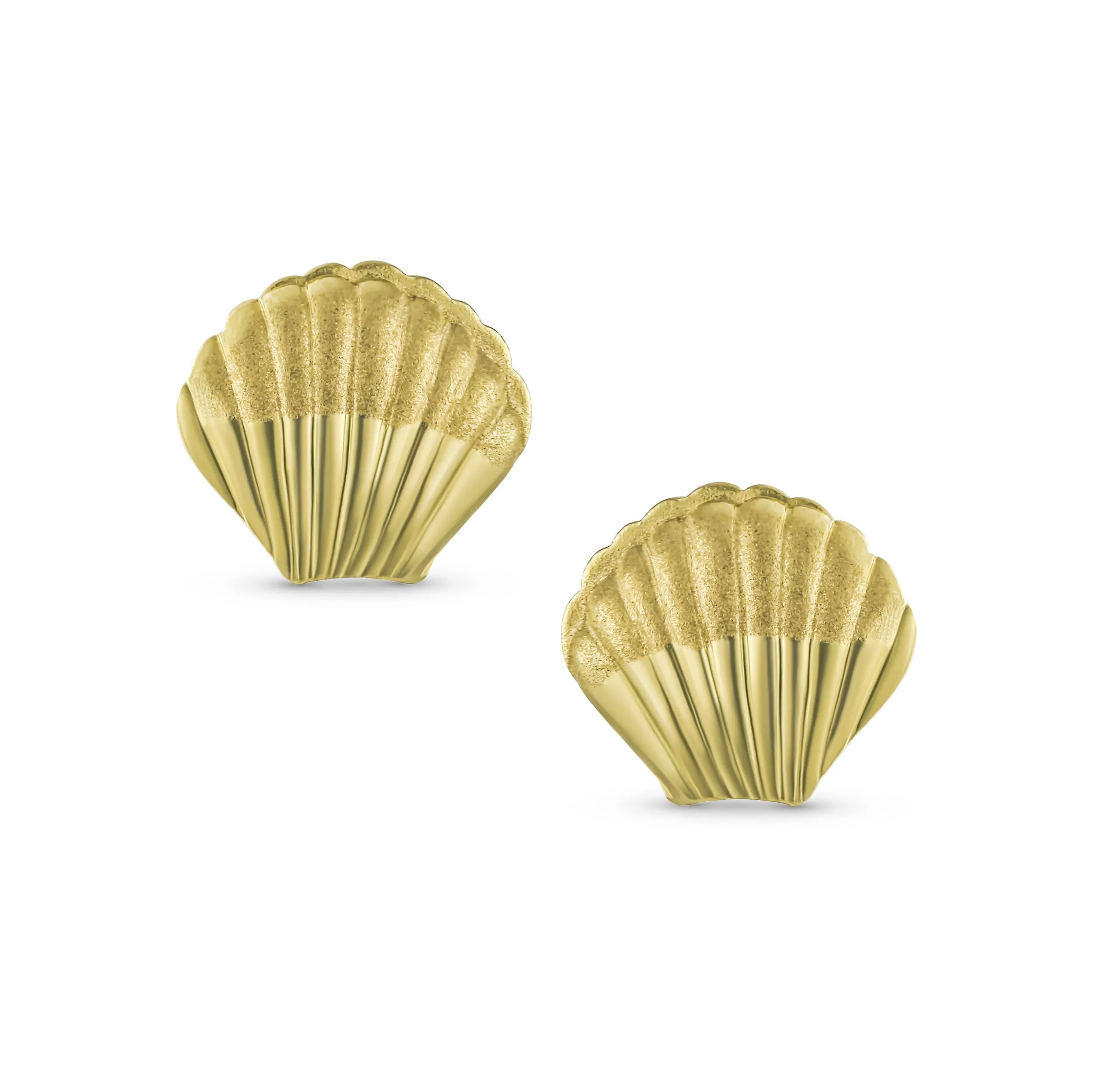 Petite Nautical Clam Shell 14K Gold Stud Earrings with Secure Screw Back