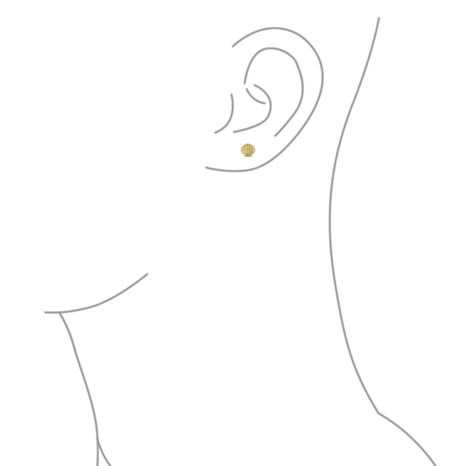 Petite Nautical Clam Shell 14K Gold Stud Earrings with Secure Screw Back