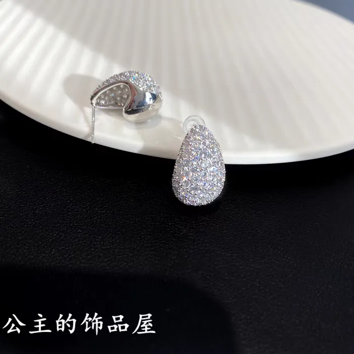 Platinum Glowing crystal Earrings