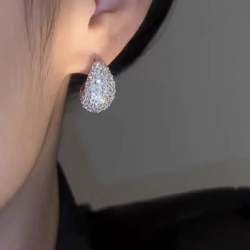 Platinum Glowing crystal Earrings